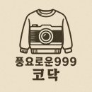 씨너리 이미지