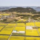 신안축산 이미지