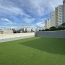 멍굴멍굴 이미지