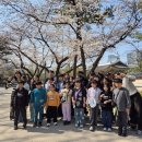 대강초등학교 이미지