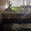 고반가옥 이미지