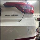 포니카센타 이미지