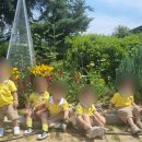 마주어린이집 이미지