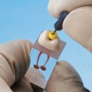 바닐라치과의원 이미지