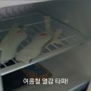 폴마더스