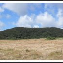 애월다래네 이미지