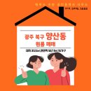 에이스수완공인중개사사무소 이미지