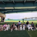 대벌농장 이미지