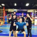 화랑복싱클럽 이미지