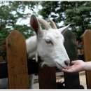 오-월드 이미지