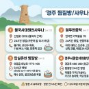 불국사 대원천 사우나 | 경주 24시간 찜질방 및 게스트하우스 - 불국사대원천사우나 경주한증막 입실온천 경주종합자원화단지...
