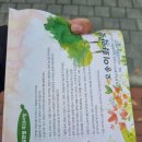 오송이화약국 이미지