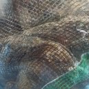 청산식당 이미지