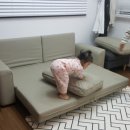 제주젬젬 이미지