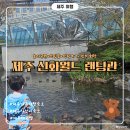 서광리-5 | 제주 신화월드 랜딩관｜24개월 아기랑 방문한 디럭스 패밀리 트윈 후기