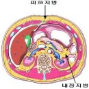 [지방흡입] 복부 지방흡입술로 뱃살 타파! 이미지