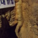 충남 단양 _ 이미지