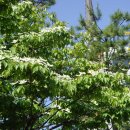 방학사거리 이미지