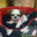 마린시티 종합동물병원 이미지