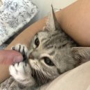 용원동물병원 이미지