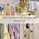 플라워디자인 | 반월당 더현대대구팝업 일정 여성 플리츠 브랜드 르라베 팝업 후기