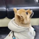 바르미유도체육관 이미지