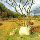 이서부동산중개사무소 이미지