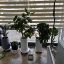 유안초등북길 | 광주 약손경락 얼굴경락 후기 1인샵에서 제대로 받은 관리