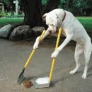 마음동물병원 이미지