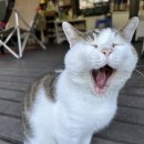 오색허브농원 이미지