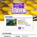 보문(부산) 이미지