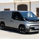 콧대높은 개 이미지