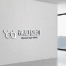 혜민안과병원 | 한글 초성으로 디자인한 심볼 로고 l 안과 병원 로고 후기