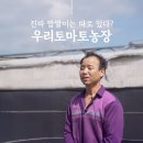대저농협유통센터(APC) | 진짜 대저 짭짤이토마토는 따로 있다? 대저 토마토 명인 김정용 대표 인터뷰