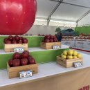 은상농장 이미지