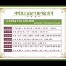 자하생식원 | 봉천동 자하생식 효소찜질 체험 후기
