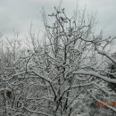 송동초등학교 이미지