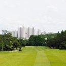 현충원로(유성-19) 이미지