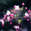 고수부지 이미지