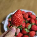 광택농장 이미지