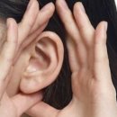 뉴톤보청기용인지사