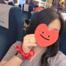 이한태 | 서울 나들이 후기