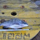 해녀민텔 이미지