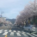 동대로 이미지