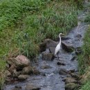 서천레스피아공원 이미지