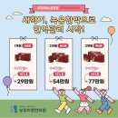 봄날아이한의원 이미지