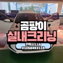 준형자동차정비세차 | 송파출장세차 자동차 실내 강아지털 곰팡이제거 실내크리닝 후기