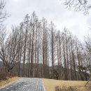 노루벌적십자생태원 이미지