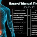 고객의 통증을 잡아보자. Base of Manual Therapy(BOMT, 봄트) 2기 모집합니다. 이미지