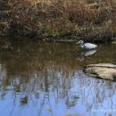 대전천북로 이미지